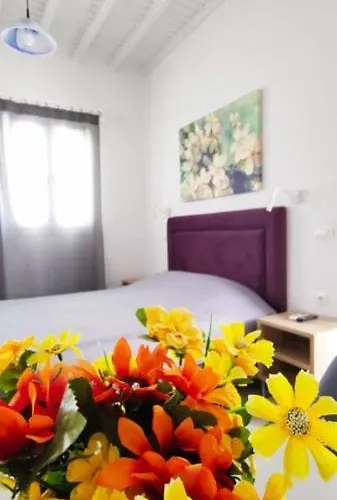 Mina Hotel apartamentowy Platys Gialos (Mykonos)